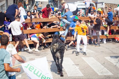 La Saca 2023