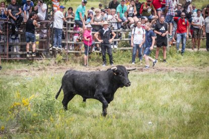 La Saca 2023