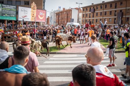 La Saca 2023