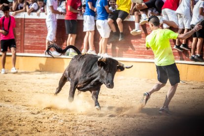 La Saca 2023