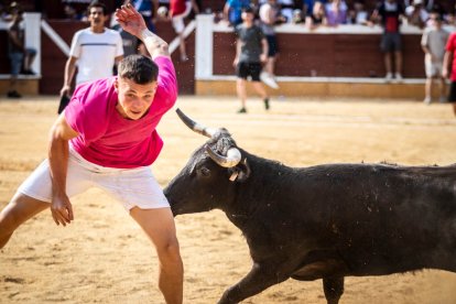 La Saca 2023