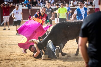 La Saca 2023