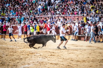 La Saca 2023