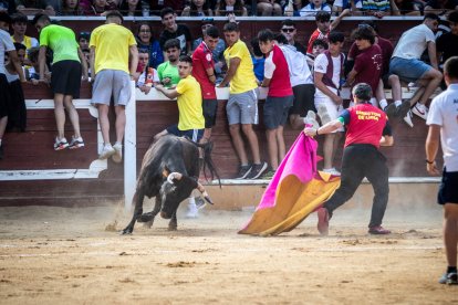 La Saca 2023
