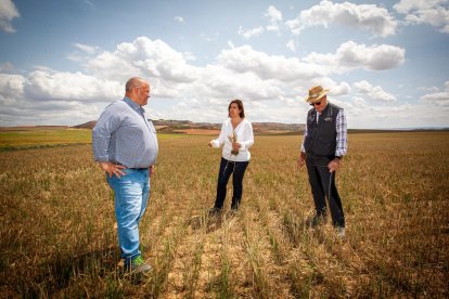 Valoración de la parcela de cultivo siniestrada por la sequía