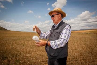 Valoración de la parcela de cultivo siniestrada por la sequía