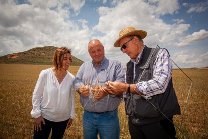 Valoración de la parcela de cultivo siniestrada por la sequía