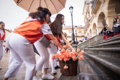 Lunes de Bailas por la mañana, último día de San Juan 2023 en Soria.