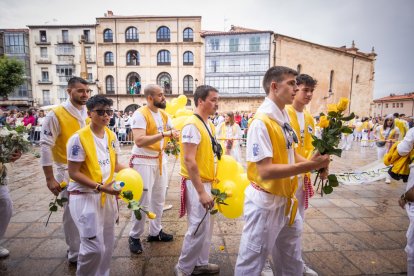Lunes de Bailas por la mañana, último día de San Juan 2023 en Soria.