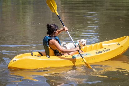 Los sorianos combaten el calor con helados, en el río o en las fuentes de la ciudad.
