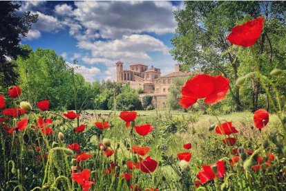 Imagen ganadora del concurso, localizada en Sigüenza.