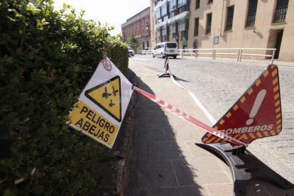 Dispositivo colocado por los bomberos de Soria para capturar a las abejas.