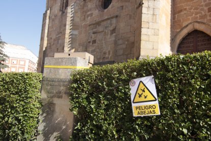 Dispositivo colocado por los bomberos de Soria para capturar a las abejas.