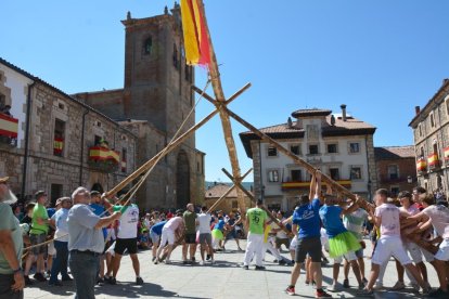 Pingada del Mayo en Vinuesa para iniciar las fiestas de 2023.