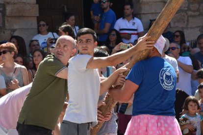 Pingada del Mayo en Vinuesa para iniciar las fiestas de 2023.