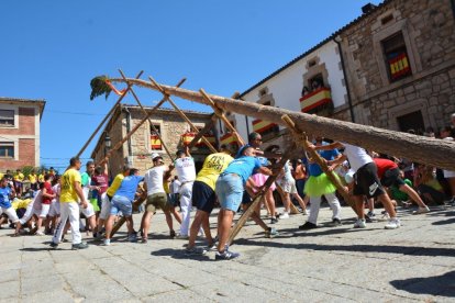 Pingada del Mayo en Vinuesa para iniciar las fiestas de 2023.