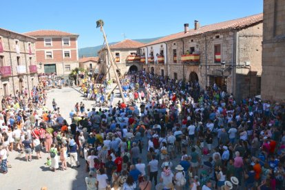 Pingada del Mayo en Vinuesa para iniciar las fiestas de 2023.