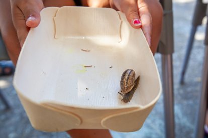 Los mejores caracoles compiten en Peroniel