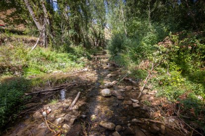 Imagenes del río Linares en el municipio sampedrano.