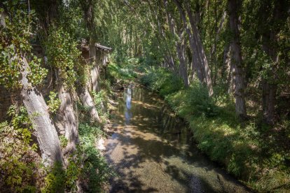 Imagenes del río Linares en el municipio sampedrano.