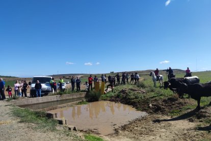 Ágreda celebra su Trashumancia.