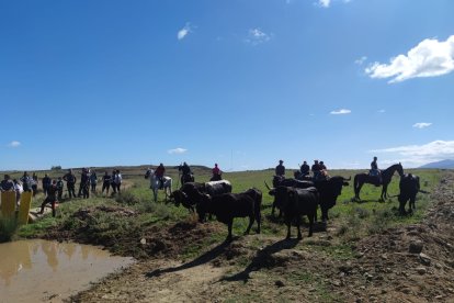 Ágreda celebra su Trashumancia.