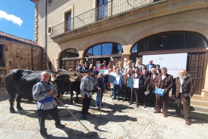 Ágreda celebra su Trashumancia.