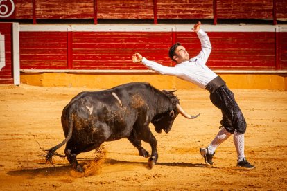 Espectáculo matinal de la feria taurina