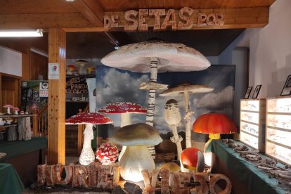 Exposición De Setas por Soria en Muriel de la Fuente.