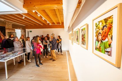 La cultura celtibérica goza de buena salud