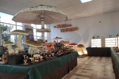 Exposición 'De Setas por Soria' en Tajueco.