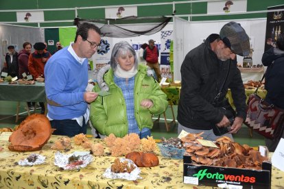 Navaleno se convierte estos días en la capital del reino fungi
