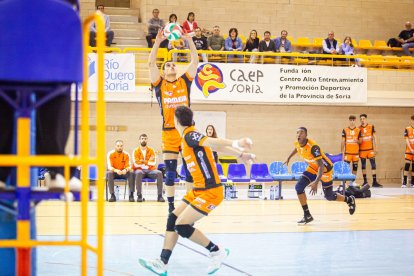 El Grupo Herce voley es oro puro en este inicio de temporada