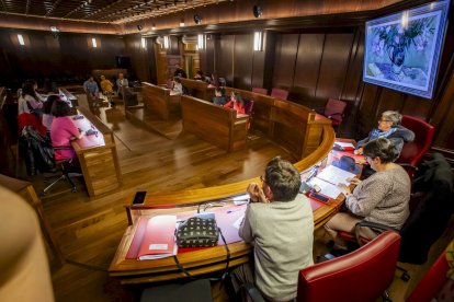 Los pequeños conocieron de primera mano como se trabaja en un pleno