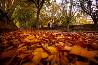 Otoño engrandece Soria con magníficos colores