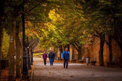 Otoño engrandece Soria con magníficos colores