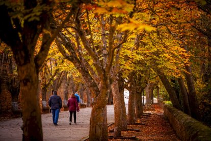 Otoño engrandece Soria con magníficos colores