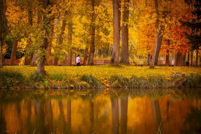 Otoño engrandece Soria con magníficos colores