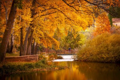 Otoño engrandece Soria con magníficos colores