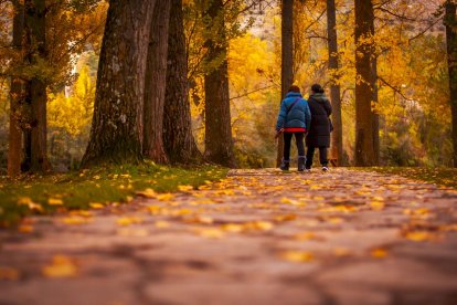 Otoño engrandece Soria con magníficos colores