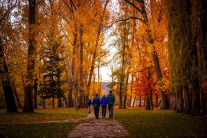 Otoño engrandece Soria con magníficos colores