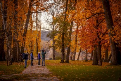 Otoño engrandece Soria con magníficos colores