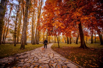 Otoño engrandece Soria con magníficos colores