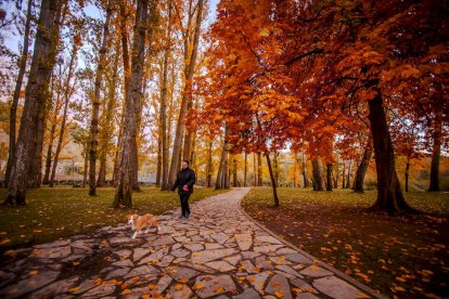 Otoño engrandece Soria con magníficos colores