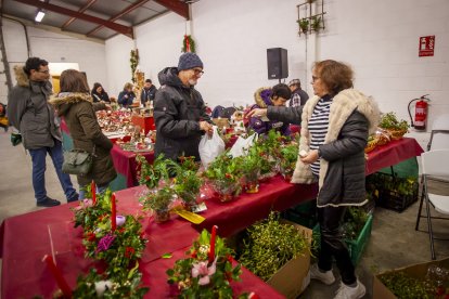 El recinto abre sus puertas 8 y 9 de diciembre