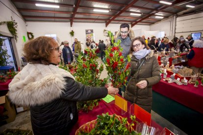 El recinto abre sus puertas 8 y 9 de diciembre