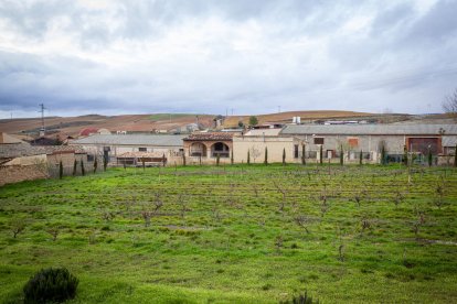 San Esteban se reunió bajo el eslogan: El vino salvará el mundo