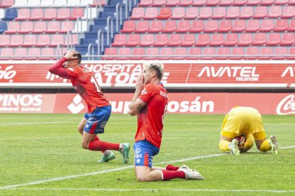 Los Pajaritos vuelven a sonreir con el CD Numancia