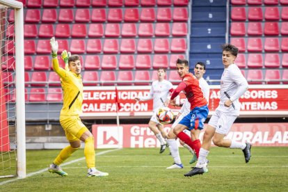 Los Pajaritos vuelven a sonreir con el CD Numancia