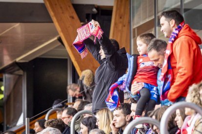 Los Pajaritos vuelven a sonreir con el CD Numancia